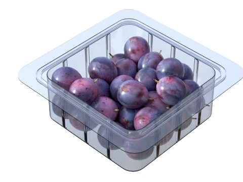 Damsun Plum Box Plastic Transparent 3D Model