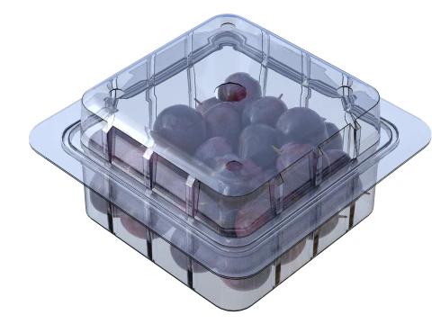 Damsun Plum Box Plastic Transparent 3D Model