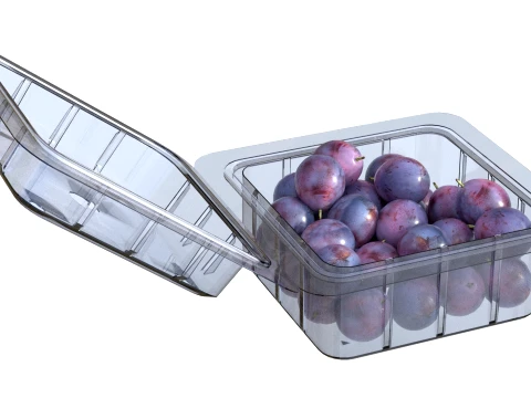 Damsun Plum Box Plastic Transparent 3D Model
