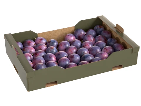 Картонная коробка для фруктов Damson Plum 3D Модель