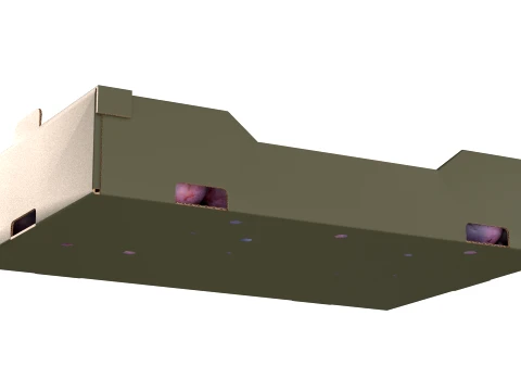 Damsun Plum Cardboard Fruit Box 3D Model