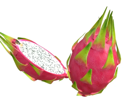 Dragon Fruit 3D Model