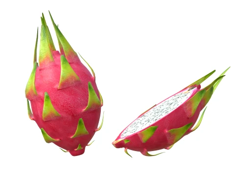 Dragon Fruit 3D Model
