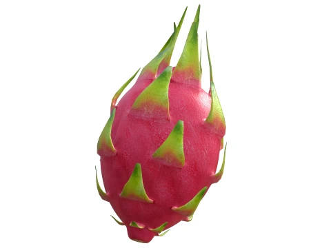 Dragon Fruit 3D Model