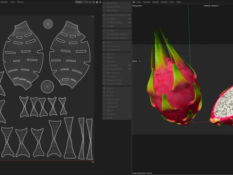 Dragon Fruit 3D Model