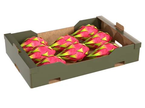 Картонная коробка для фруктов Dragon Fruit 3D Модель