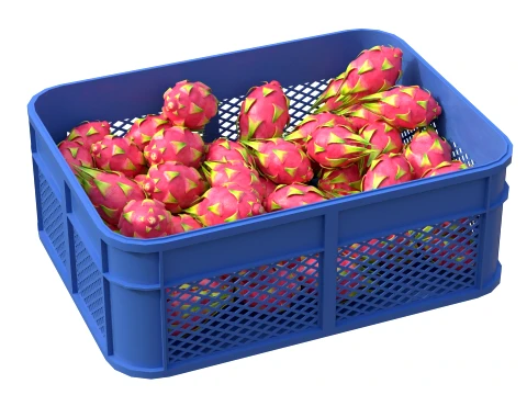Dragon Fruit Plastic Crate 3D Model