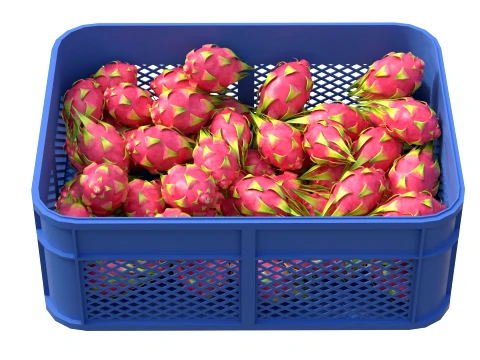 Dragon Fruit Plastic Crate 3D Model