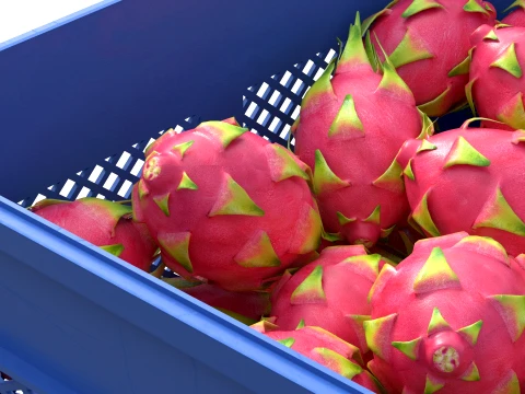 Dragon Fruit Plastic Crate 3D Model