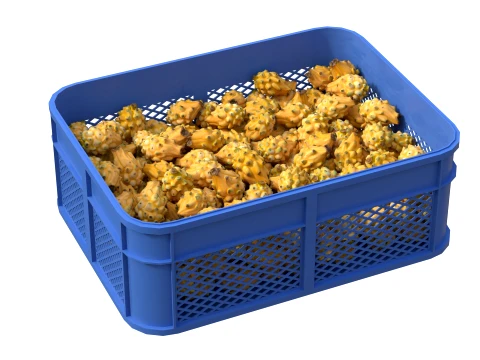 Dragon Fruit Yellow Plastic Crate 3D Model