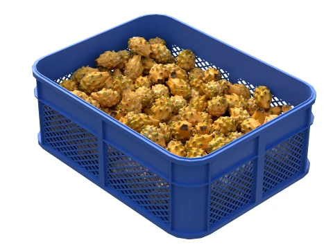 Dragon Fruit Yellow Plastic Crate 3D Model