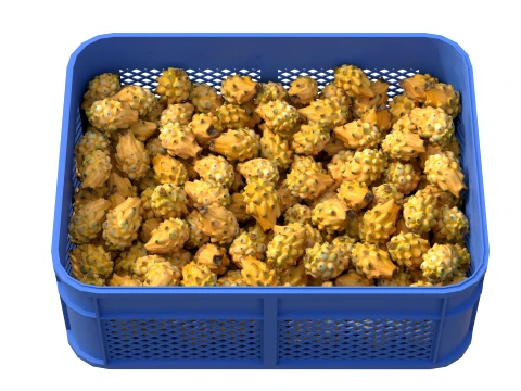 Dragon Fruit Yellow Plastic Crate 3D Model
