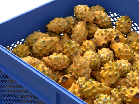 Dragon Fruit Yellow Plastic Crate 3D Model