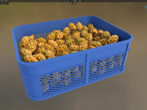 Dragon Fruit Yellow Plastic Crate 3D Model
