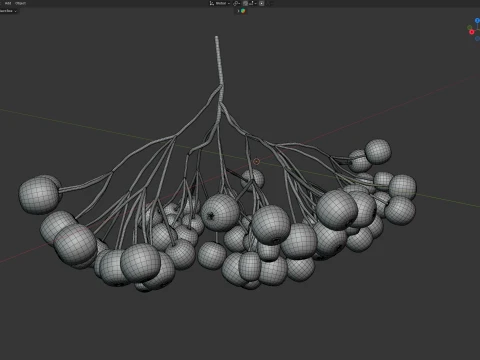 Elderberry 3D Model