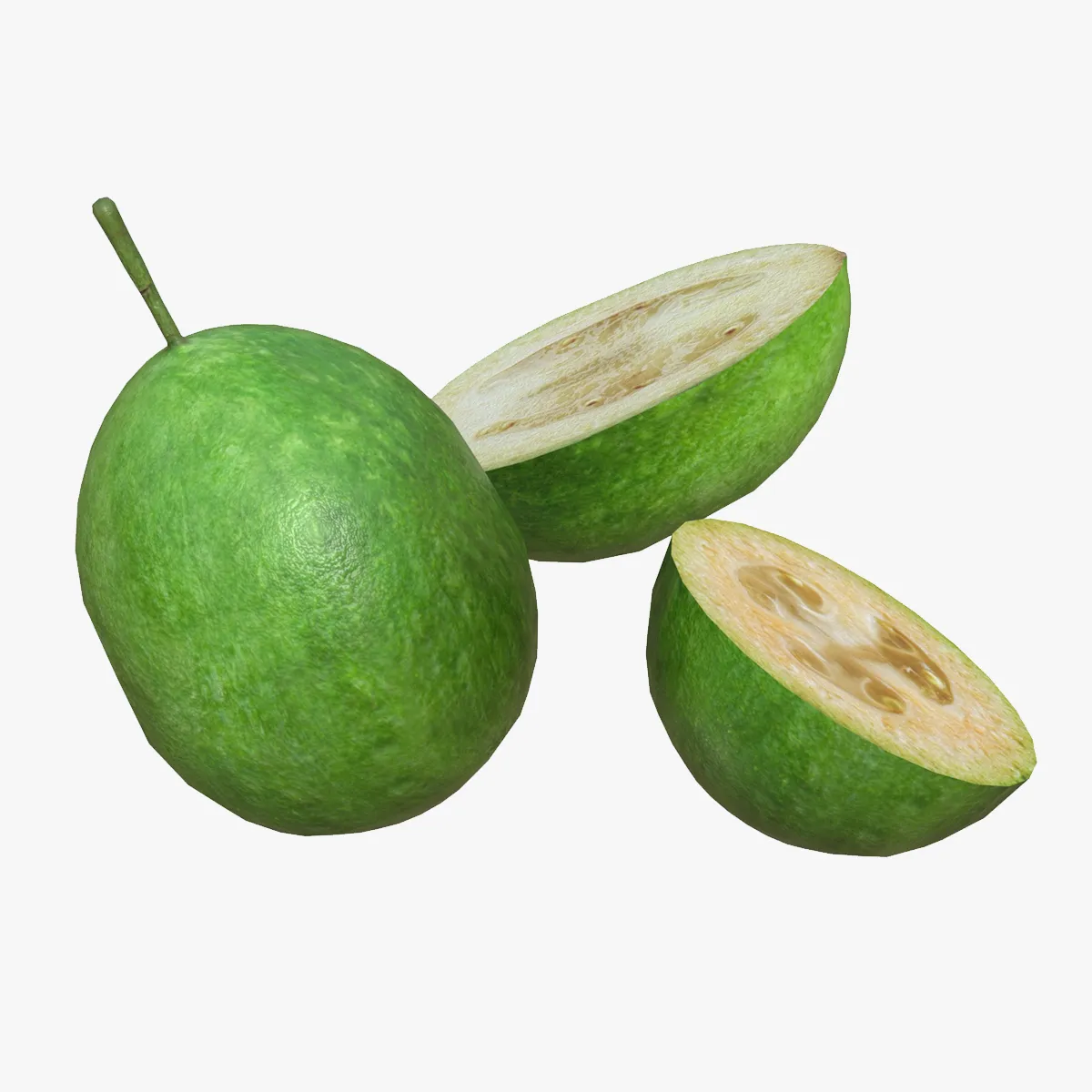 Feijoa 3D Model .c4d .max .obj .3ds .fbx .stl .blend 