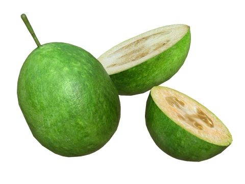 Feijoa 3D Model
