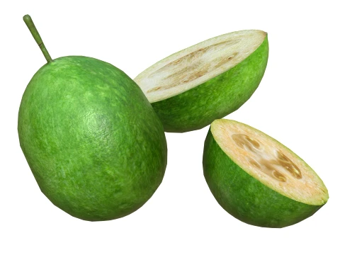 Feijoa 3D Model