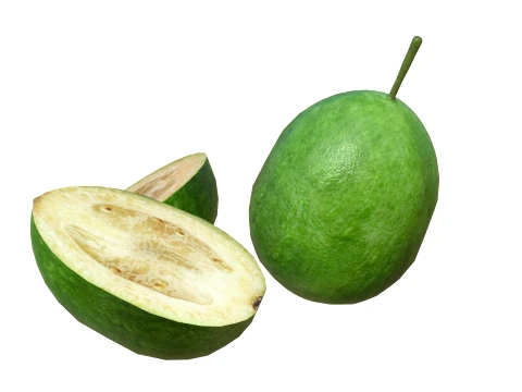 Feijoa 3D Model