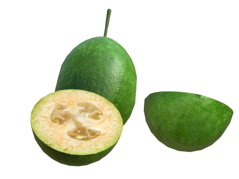 Feijoa 3D Model