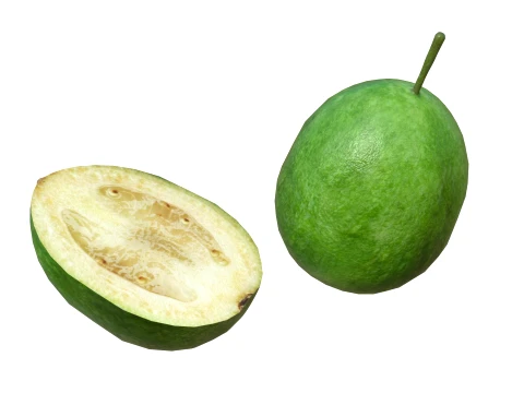 Feijoa 3D Model
