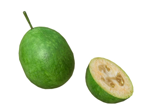 Feijoa 3D Model
