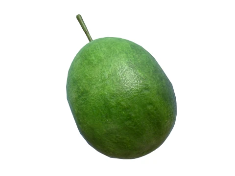 Feijoa 3D Model