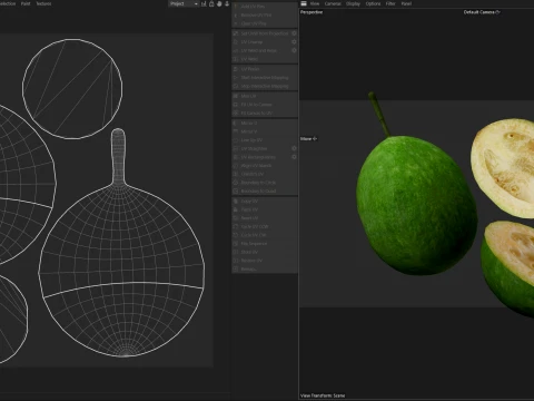 Feijoa 3D Model