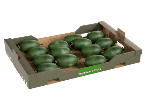 Feijoa Cardboard Fruit Box 3D Model