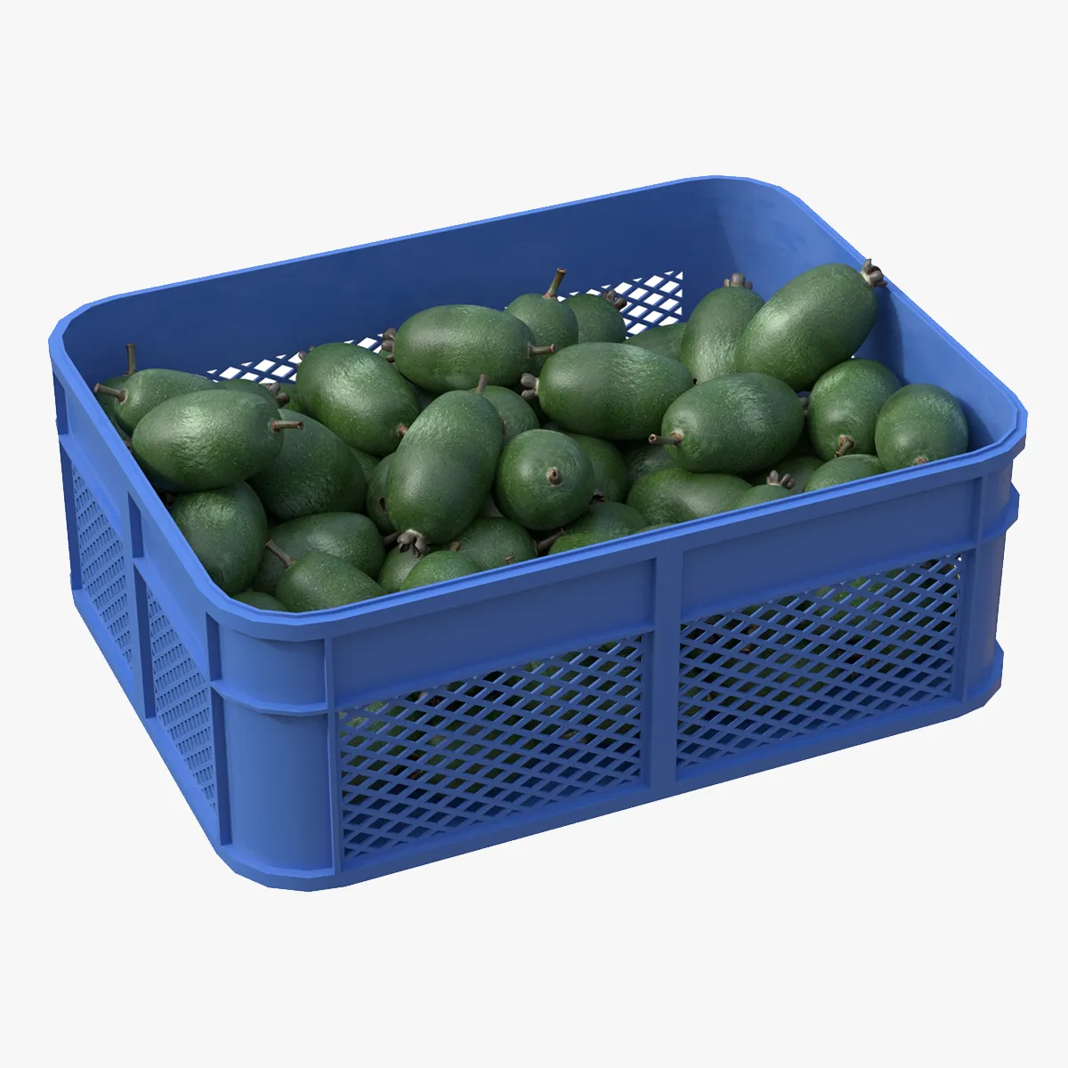 Feijoa Plastic Crate 3D Model .c4d .max .obj .3ds .fbx .stl .blend 