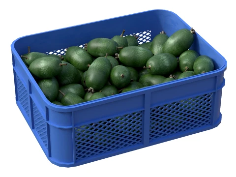 Feijoa Plastic Crate 3D Model