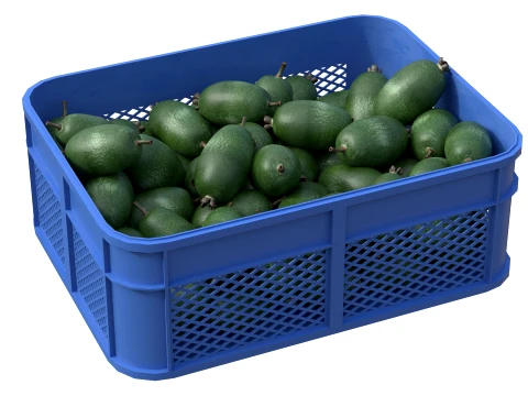 Feijoa Plastic Crate 3D Model