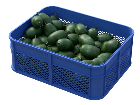 Feijoa Plastic Crate 3D Model