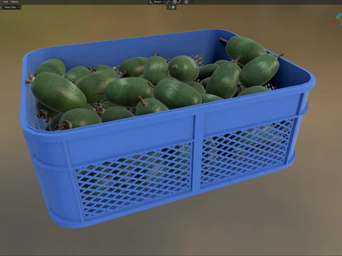 Feijoa Plastic Crate 3D Model