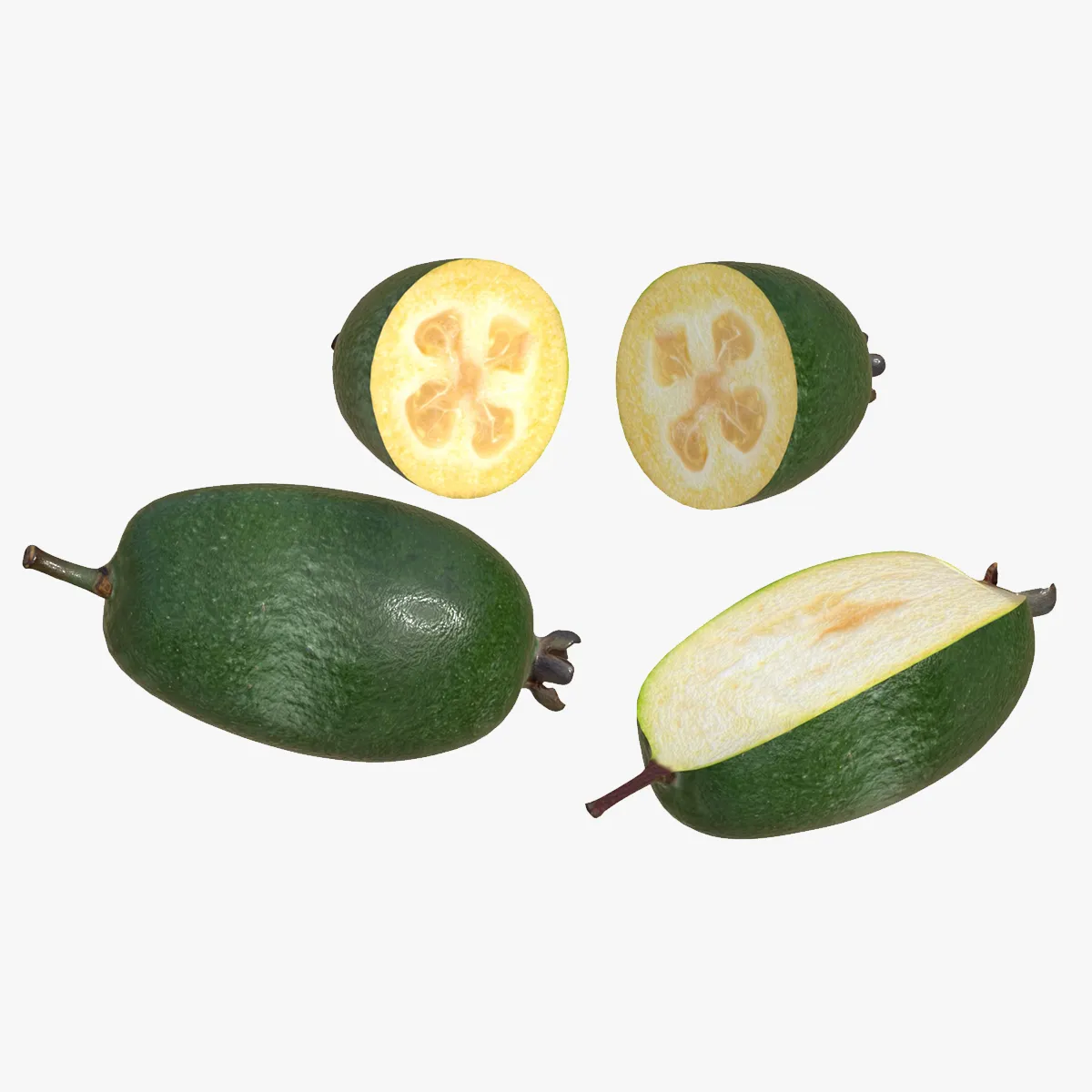 Feijoa v2 3D Model .c4d .max .obj .3ds .fbx .stl .blend 