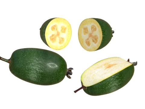 Feijoa v2 3D Model