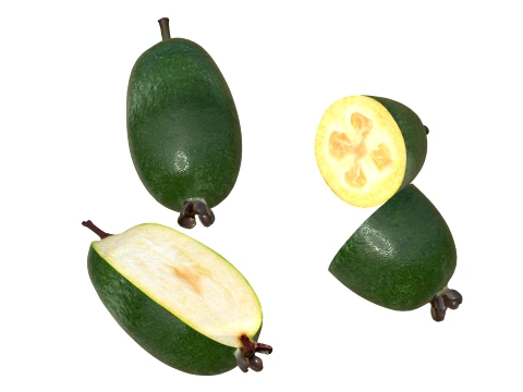 Feijoa v2 3D Model