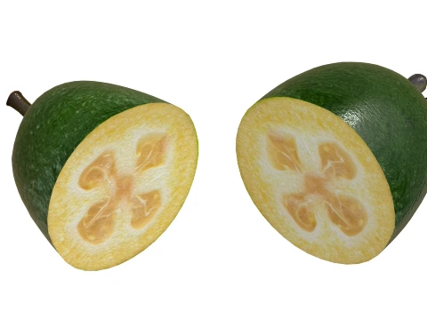Feijoa v2 3D Model