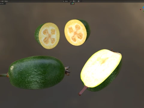Feijoa v2 3D Model