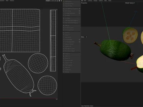 Feijoa v2 3D Model