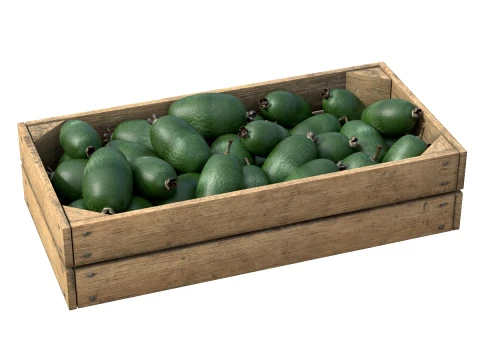Feijoa Wooden Crate 3D Model
