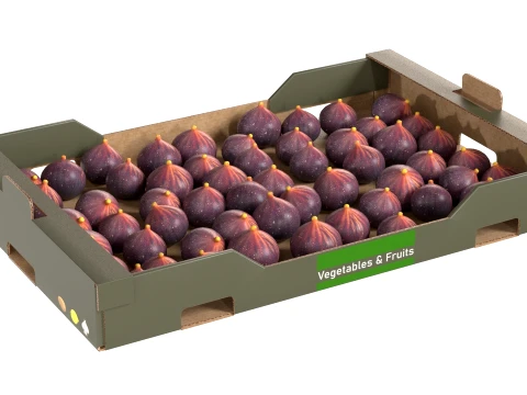 Fig Cardboard Fruit Box 3D Model