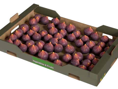 Fig Cardboard Fruit Box 3D Model