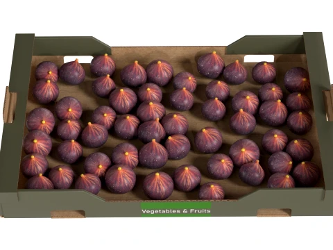 Fig Cardboard Fruit Box 3D Model