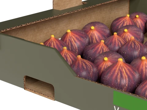 Fig Cardboard Fruit Box 3D Model