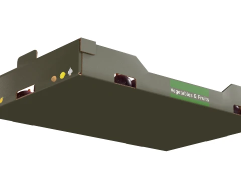 Fig Cardboard Fruit Box 3D Model