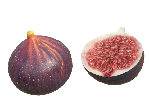 Fig Fruit 3D Model