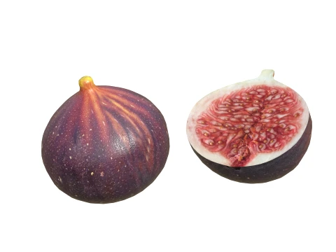Fig Fruit 3D Model