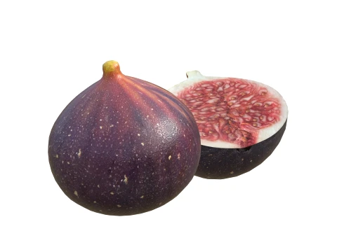 Fig Fruit 3D Model