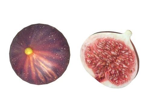 Fig Fruit 3D Model
